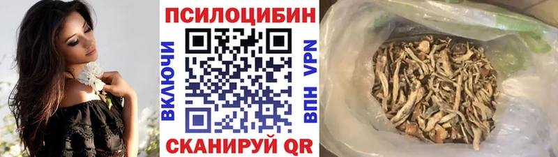 Галлюциногенные грибы Cubensis  Купить где  Талица 