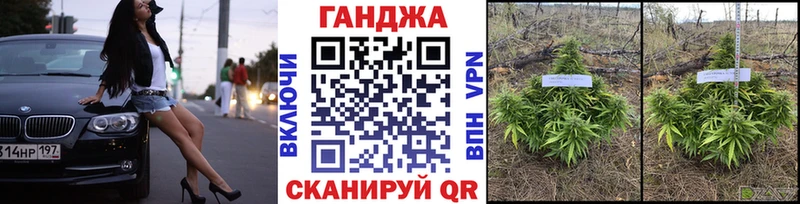 Купить  Талица  Бошки марихуана тримм 